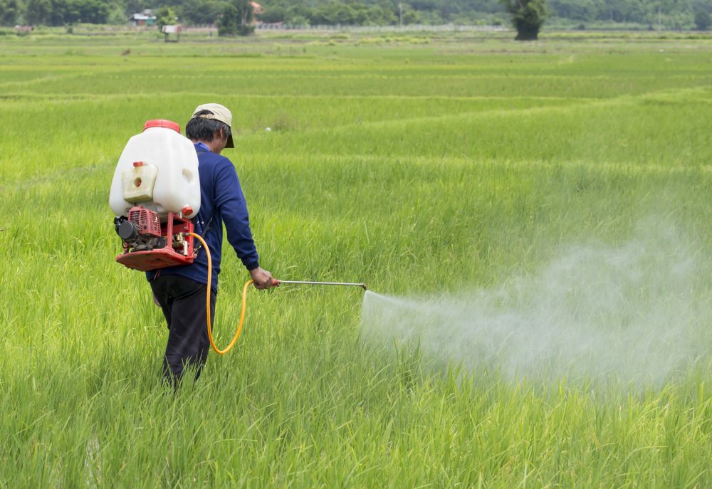 Govt-focuses-on-boosting-nano-urea-production-min